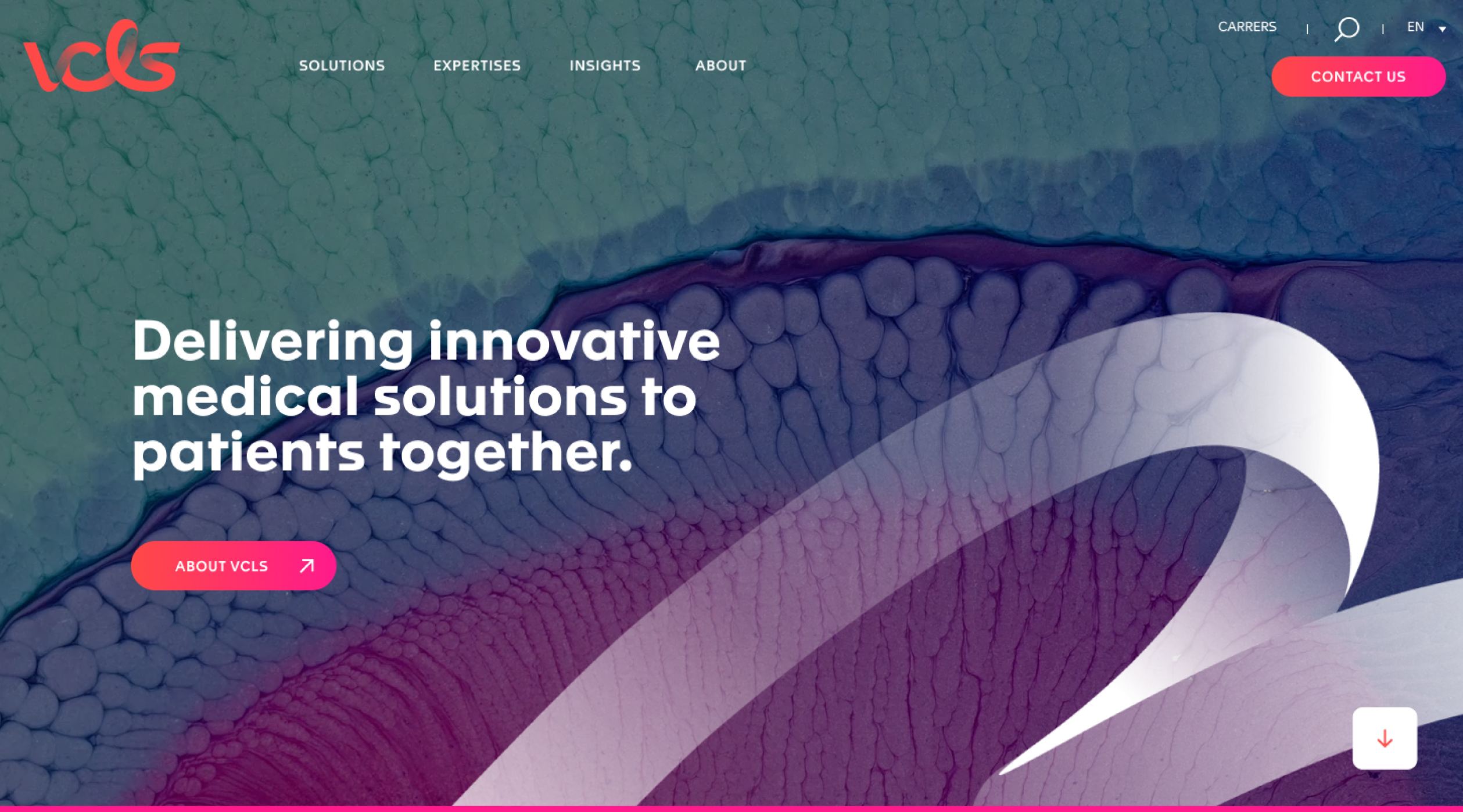 Création d’une site web pour VCLS-Voisin Consulting, un saas accompagné par From Roswell.