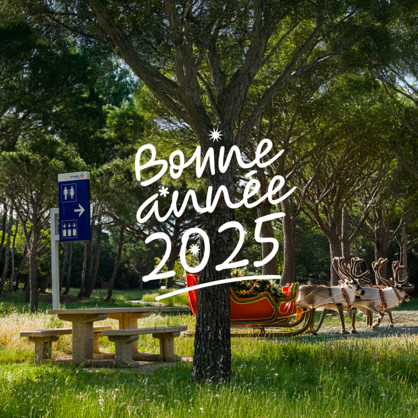 Création d’une social media pour Carte de voeux, un corporate accompagné par From Roswell.