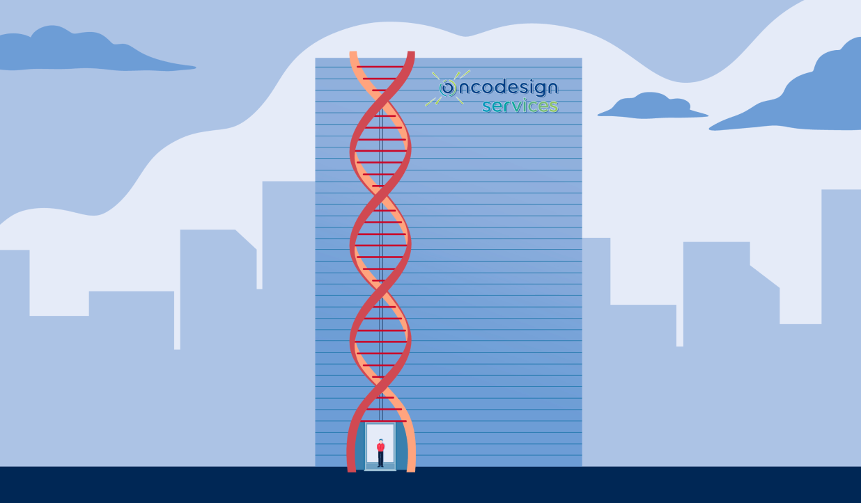 Création d’une illustration pour Edmond de Rothschild, un saas luxe corporate accompagné par From Roswell.